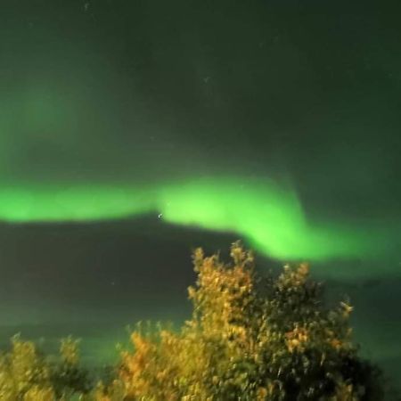Aurora Rooms In Shared Apartment Nr1 We Are Doing Privet Northen Light Trip, Reindeer Trip And Sommaroy Fjord Trip Тромсе Екстер'єр фото