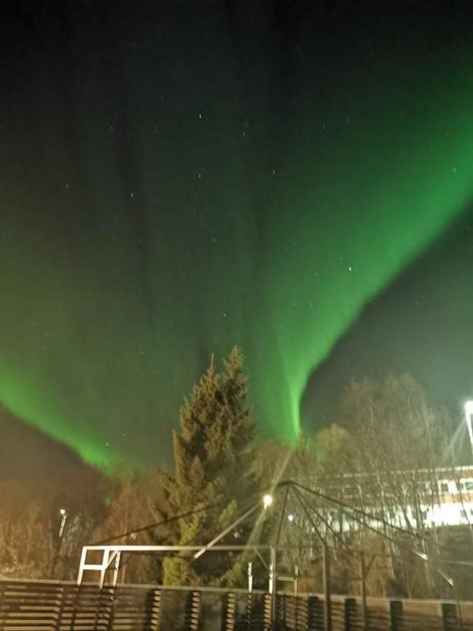 Aurora Rooms In Shared Apartment Nr1 We Are Doing Privet Northen Light Trip, Reindeer Trip And Sommaroy Fjord Trip Тромсе Екстер'єр фото